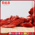 Health food goji berry producer